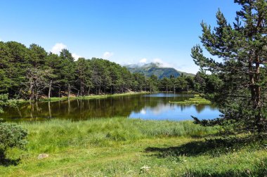 Aran Vadisi Katalanca Pyrenees, İspanya