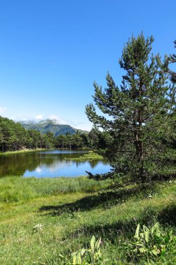 Aran Vadisi Katalanca Pyrenees, İspanya