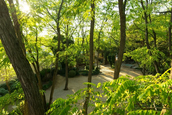 Los jardines de Caserna dels Alemanys, Girona. Cataluña. España —  Fotos de Stock