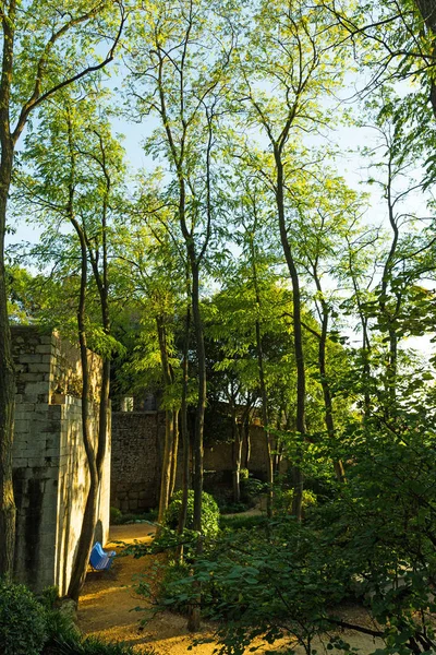 The gardens of Caserna dels Alemanys, Girona. Catalonia. Spain — Stock Photo, Image