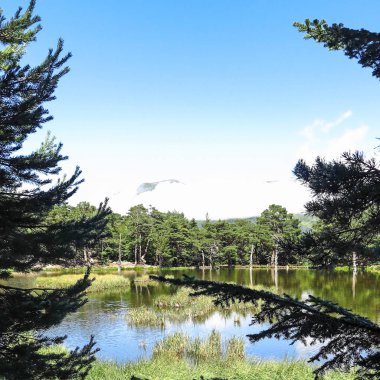Aran Vadisi Katalanca Pyrenees, İspanya