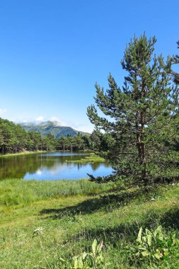 Aran Vadisi Katalanca Pyrenees, İspanya