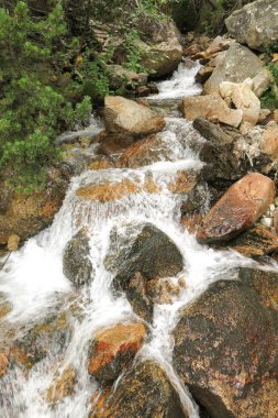 küçük dere Katalanca Pyrenees, İspanya