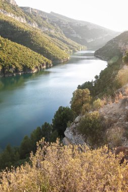 Marsh Camarasa, Katalonya eyaletinin, İspanya