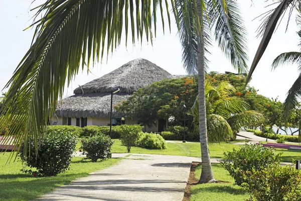 Semester i en karibisk strand. — Stockfoto