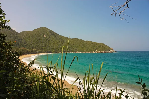 Plage des Caraïbes avec forêt tropicale. Parc national Tayrona. Col. — Photo