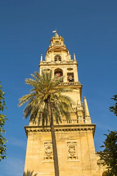 Klokkentoren van de kathedraal-moskee van Cordoba, Andalusie, Spanje. — Stockfoto