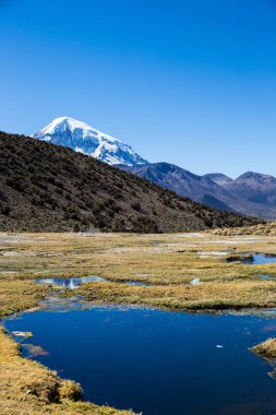 Junthuma geysers jeotermal faaliyet tespit tarafından kuruldu. Sajama Park, Bolivya