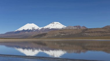 Sajama Ulusal Park Ranger Bolivya'nın içinde. Sajama Park, Bolivya