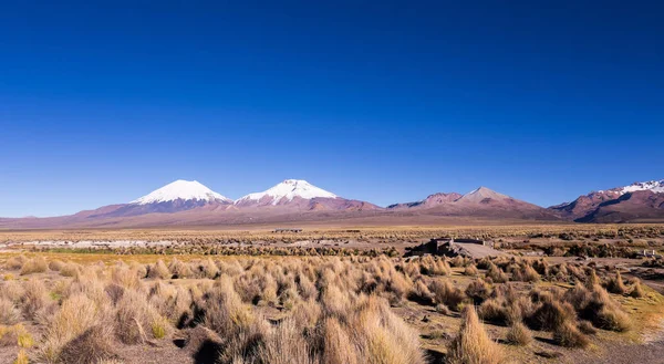 Haute toundra andine paysage dans les montagnes des Andes. Sajama Park, Bolivie — Photo