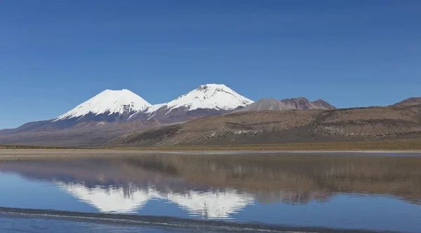 Il Parco Nazionale del Sajama nel Ranger della Bolivia. Sajama Park, Bolivia — Foto Stock