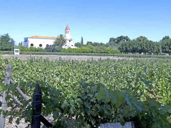 Vinařský průmysl v Maule valley, Chile — Stock fotografie