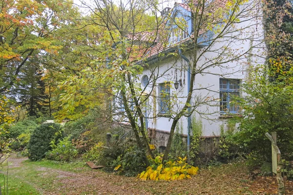 Autumn Impression from the Saxony forest, perto de Hamburgo. Alemanha — Fotografia de Stock