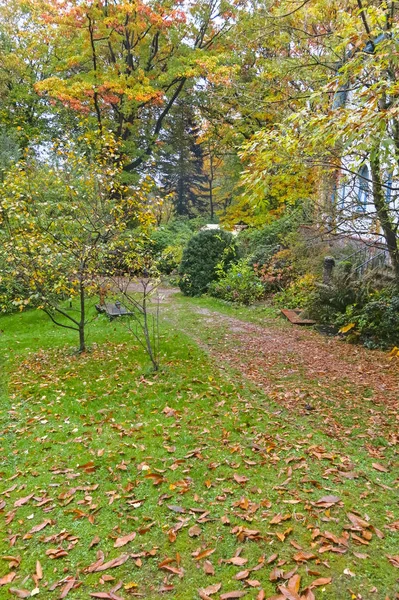 Hösten intryck från Sachsen skogen, nära Hamburg. Tyskland — Stockfoto
