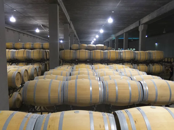 Foto interior de barricas de madera en bodega vieja —  Fotos de Stock