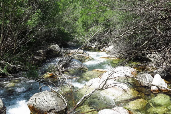 Aiguestores és Sant Maurici Nemzeti Park, a katalán Pireneusokban, Spanyolországban — Stock Fotó