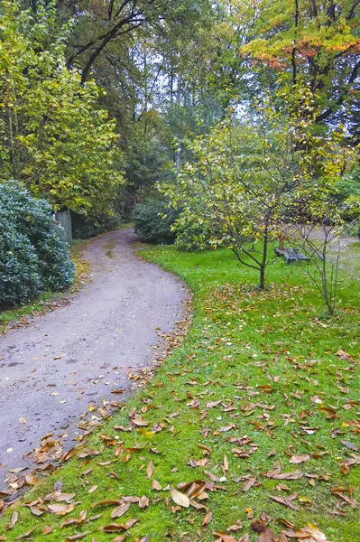 Φθινόπωρο εντύπωση από το δάσος της Σαξωνίας, κοντά στο Αμβούργο. Γερμανία — Φωτογραφία Αρχείου