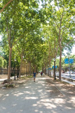 Paseo Picasso yürüyerek Barselona, Ciutadella Park, yanında üzerinde