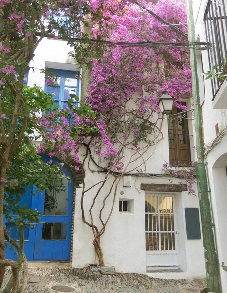 Calle estrecha tradicional con casas blancas en el centro histórico — Foto de Stock