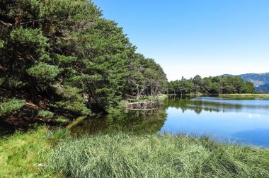 Aran Vadisi Katalanca Pyrenees, İspanya