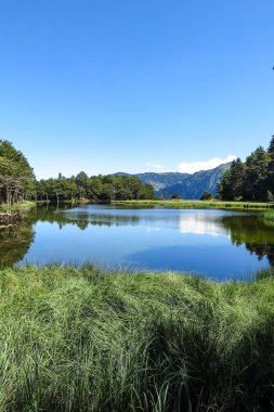 Aran Vadisi Katalanca Pyrenees, İspanya