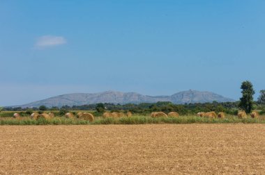 Lehçe kırsal, hasat alanları, haystacks. 