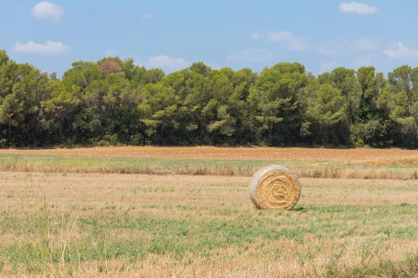 Poolse platteland, geoogste velden, hooibergen. — Stockfoto