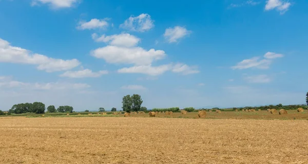 Польська сільській місцевості, зібраний урожай поля, копиці сіна. — стокове фото