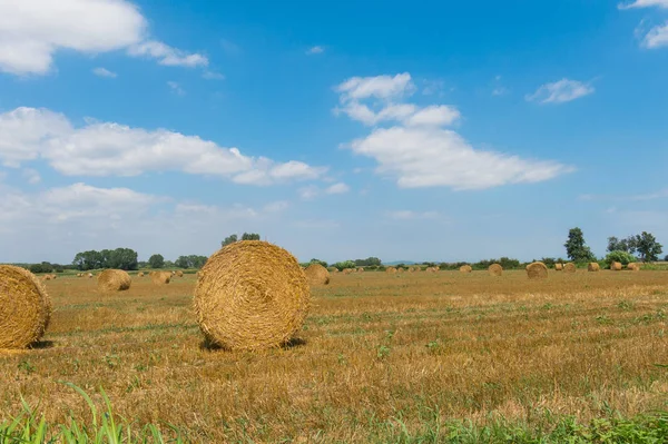 Типовий ландшафт Emporda, Каталонія, Іспанія. — стокове фото