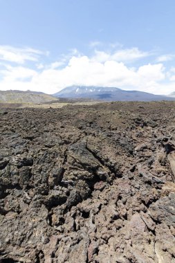 Sierra Velluda, içinde Laguna de Laja Milli Parkı Bio b