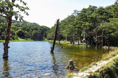 Aran Vadisi Katalanca Pyrenees, İspanya