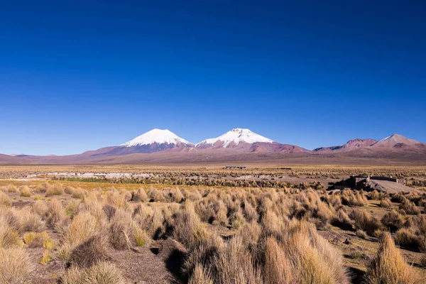 Panorâmica boliviana: alta paisagem andina tundra na montanha — Fotografia de Stock