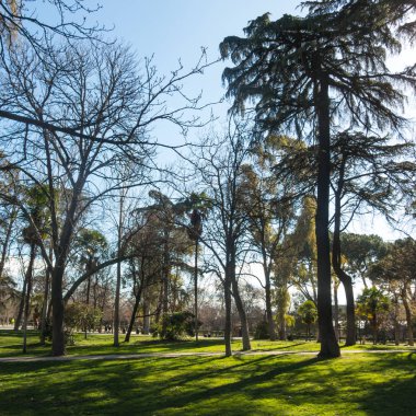 Madrid Retiro Park manzarası. Buen Retiro Park bir tarihi Bahçe ve kamu Parkı, kentin ana turistik merkezlere biri olarak kabul olduğunu. İspanya.