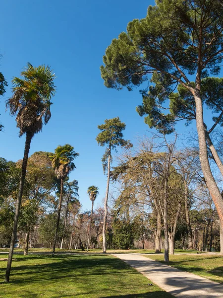 Caminho dentro do Parque Retiro em Madrid. O Parque Buen Retiro é um jardim histórico e parque público, considerado uma das principais atrações turísticas da cidade. Espanha . — Fotografia de Stock