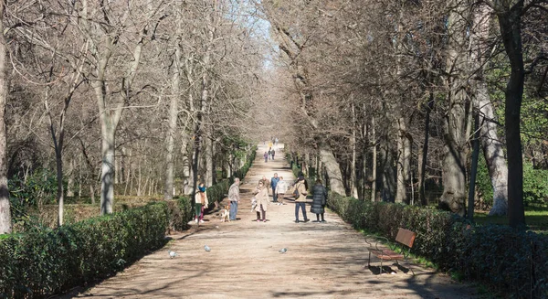 Sökväg inuti Retiroparken i Madrid. Buen Retiro Park ligger en — Stockfoto
