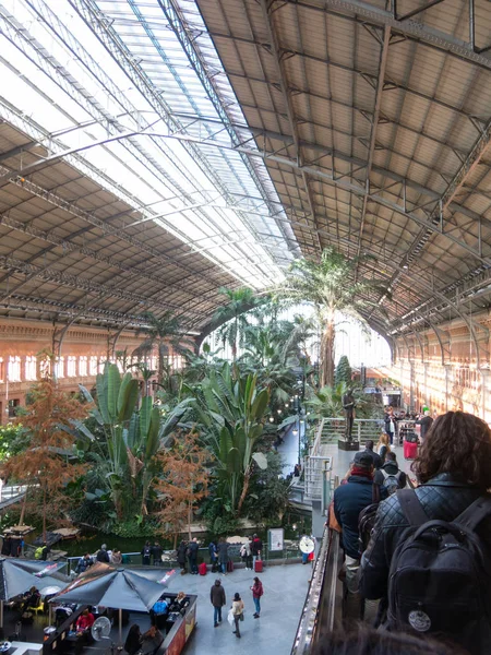 Tropical green house, location in 19th century Atocha Railway Station in Madrid, Spain. — Stock Photo, Image