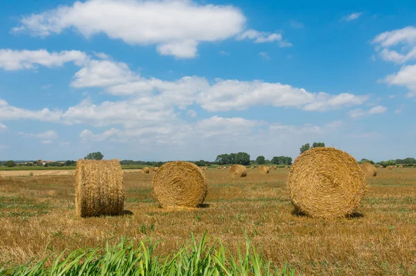 Типовий ландшафт Emporda, Каталонія, Іспанія. — стокове фото