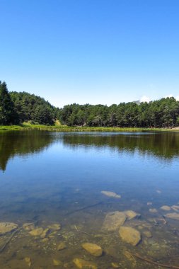 Aran Vadisi Katalanca Pyrenees, İspanya