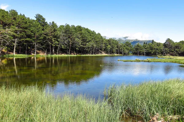 Aran tal in den katalanischen pyrenäen, spanien — Stockfoto