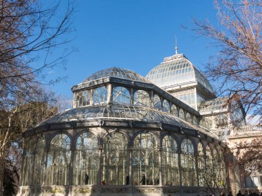 Crystal palace (palacio de cristal) retiro park, madrid, İspanya