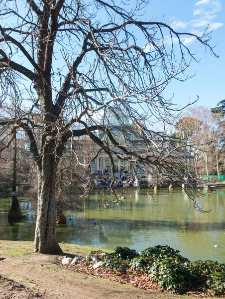 Palácio de Cristal (Palácio de Cristal) em Retiro Park, Madrid, Espanha — Fotografia de Stock