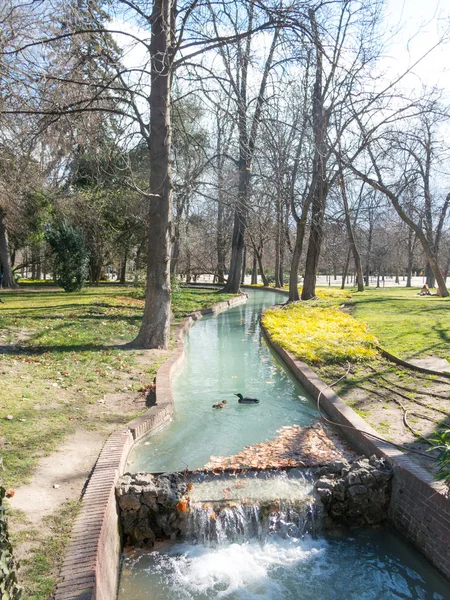 Freilaufende Enten schwimmen in einem der Kanäle des Buen retiro Parks, dem wichtigsten Park der Stadt Madrid. Spanien — Stockfoto