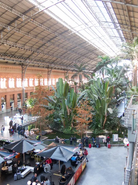 Tropický zelený dům, umístění v 19. století vlakové nádraží Atocha v Madridu, Španělsko. — Stock fotografie