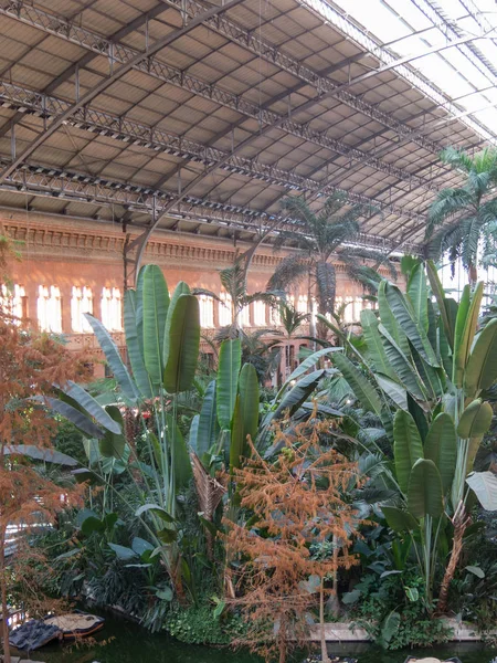 Maison verte tropicale, emplacement dans le 19ème siècle Atocha Railway St — Photo