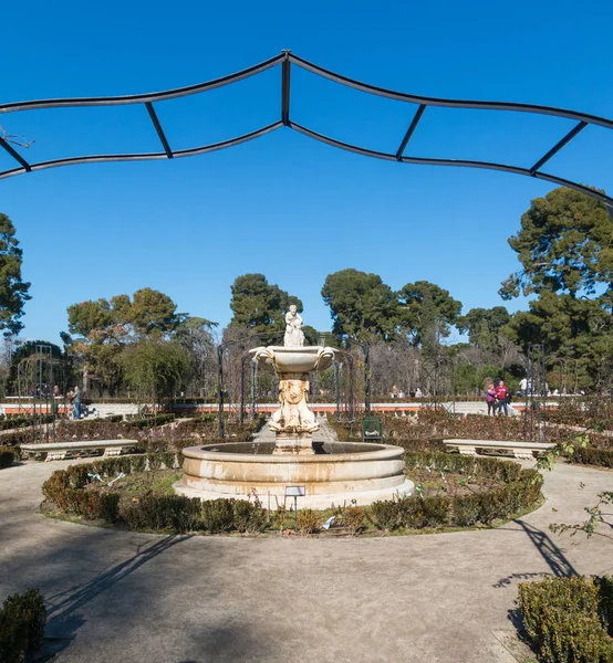 Madrid, Spanyolország fővárosa. Rózsakert (rosarium) a Retiro — Stock Fotó