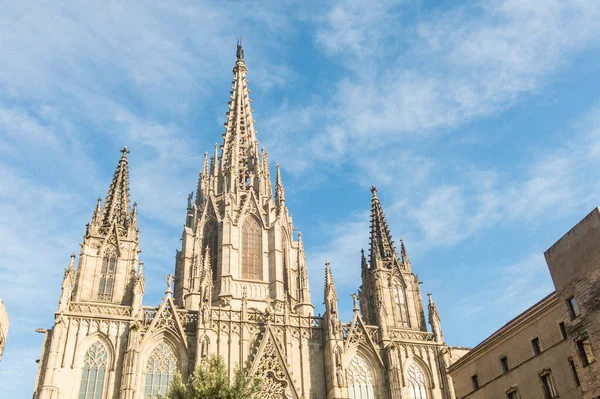 Facciata della Cattedrale Metropolitana Basilica di Barcellona (anche — Foto Stock
