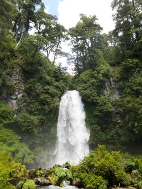 El Venado nehrinin El Rincon 'unda, Conaripe, Panguipulli' de, Villarica Ulusal Parkı 'nın ortasında. Los Rios Bölgesi, Araucania veya Patagonya, Şili And Dağları.