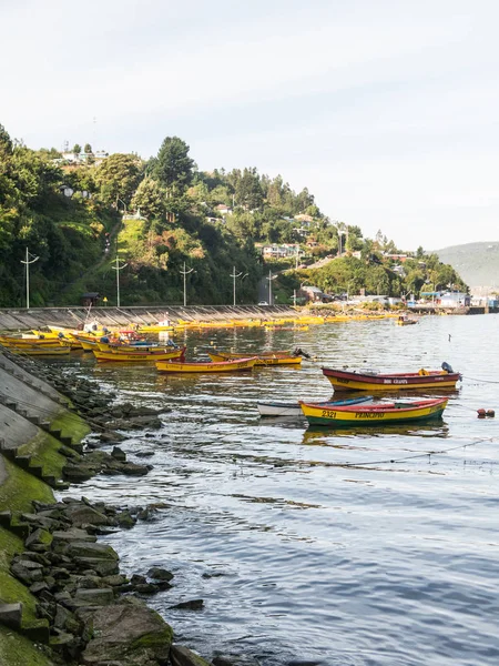 Kleine Fischerboote, die an der Küste des Valdivia-Flusses festgemacht haben, — Stockfoto