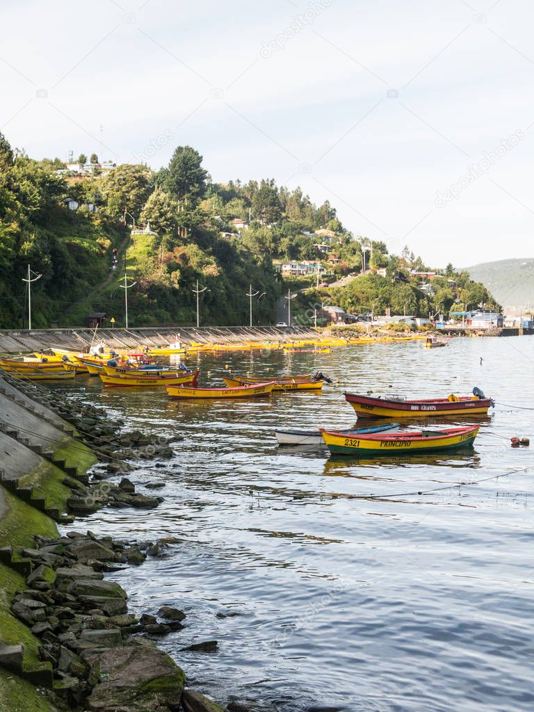 Small fishing boats, moored on the coast of the Valdivia River, 