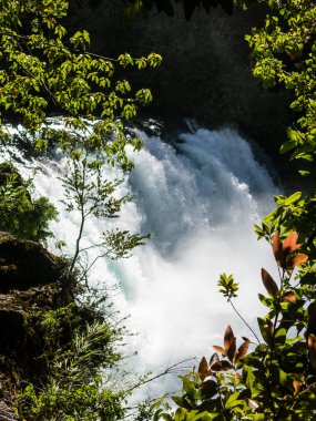 La Leona del Rio Fuy Şelalesi, 10 metre yüksekliğinde, Huilo Huilo Biyolojik Rezervi, Panguipulli, Rios Bölgesi, Güney Şili